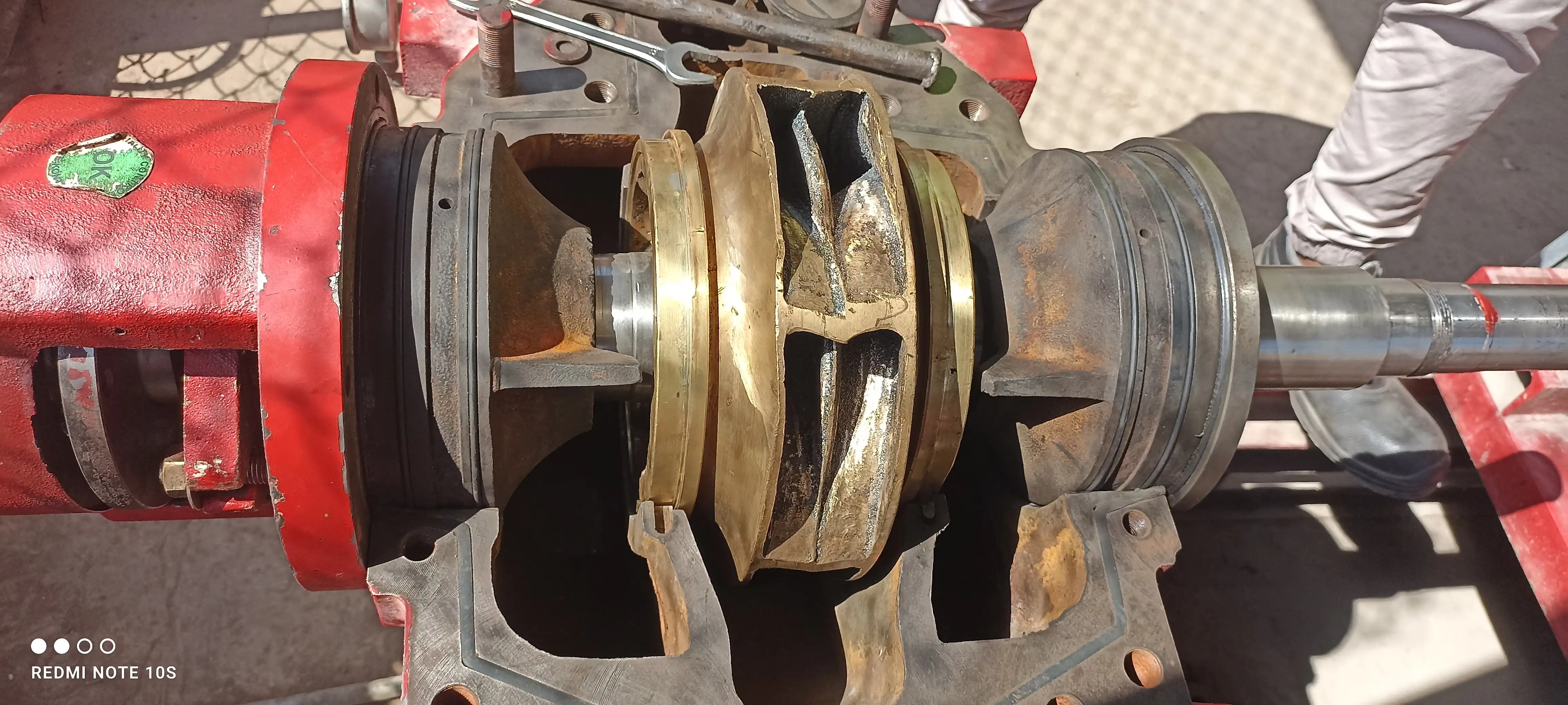 impeller pump maintenance